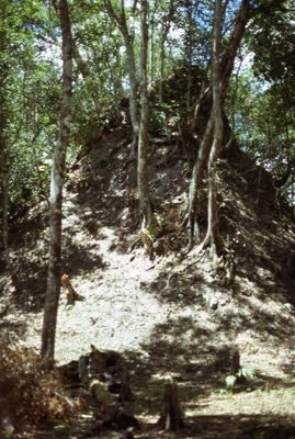 El Zotz, "ruined structure and forest"